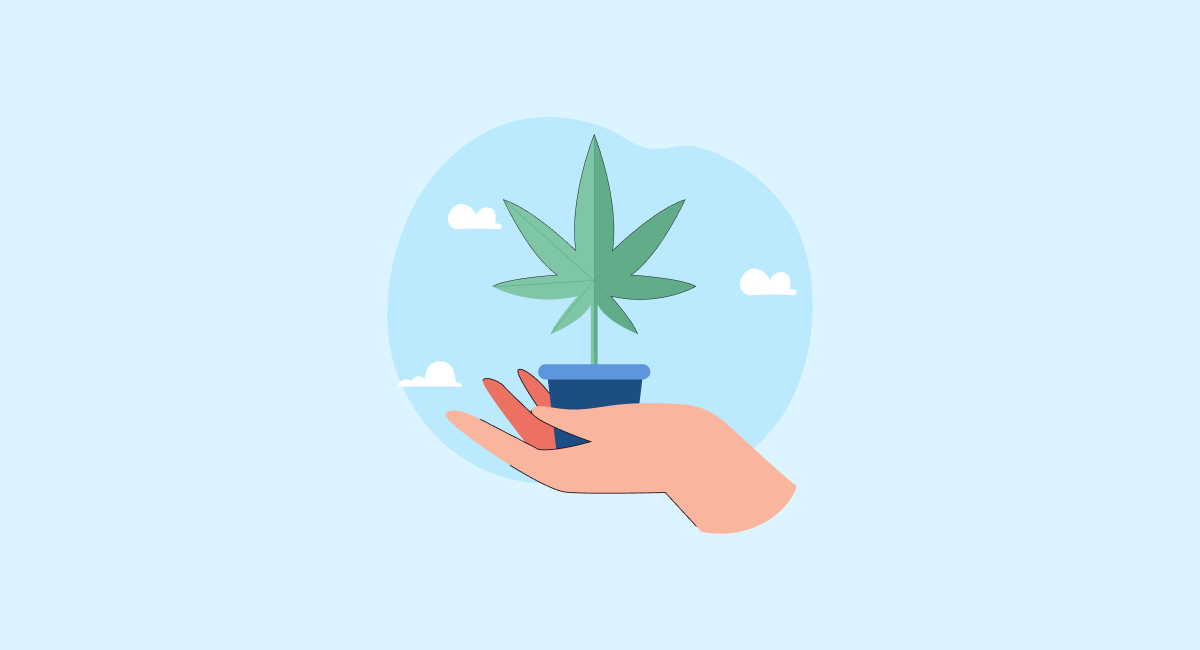 how to start a cannabis delivery business